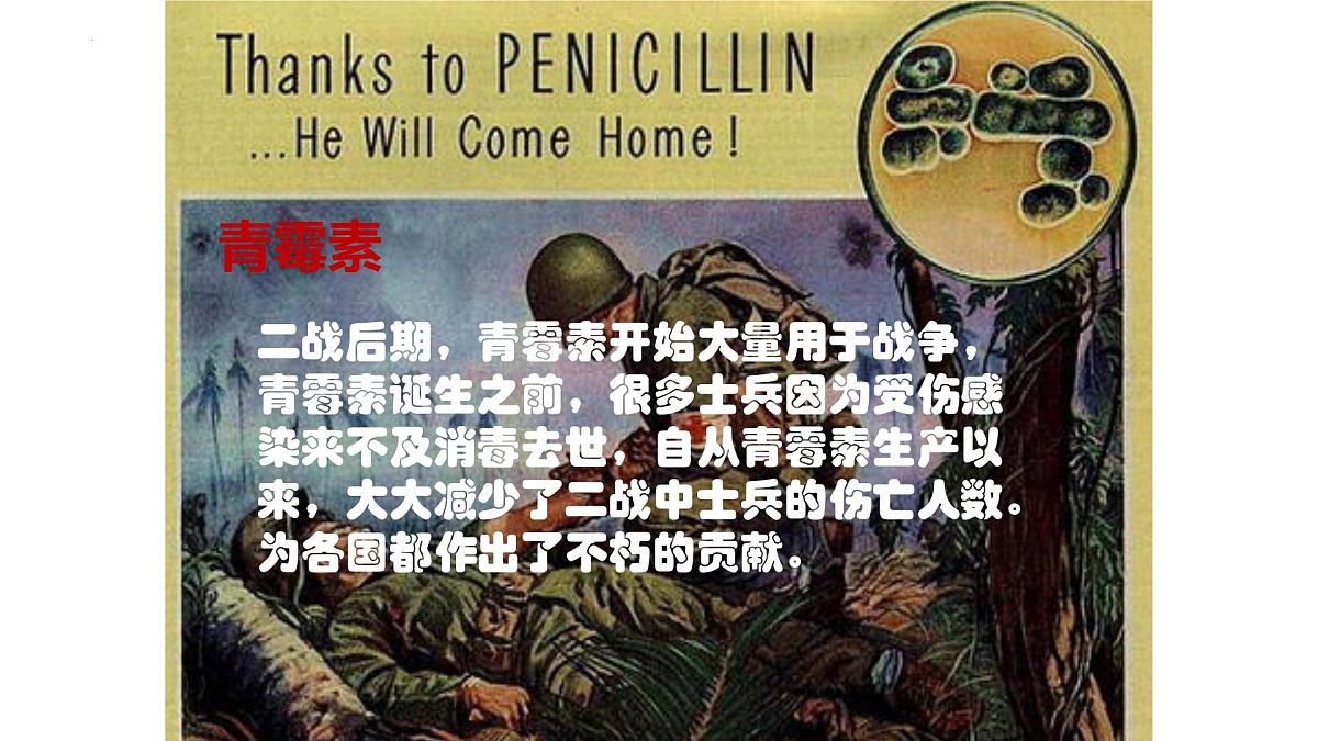 1.1.2 生物学的研究方法 第2课时 科学探究(教学课件)-2025-2026学年七年级生物上册(北京版2024)第8页