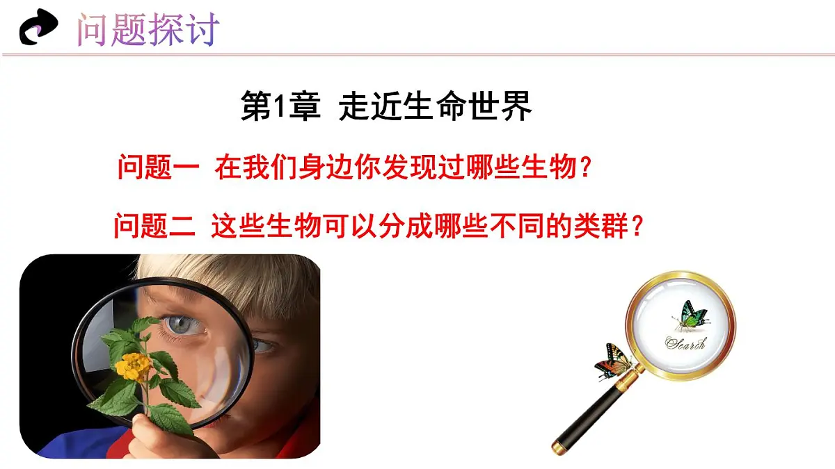 1.1.1 生物的特征(教学课件)-2025-2026学年七年级生物上册(北京版2024)第5页
