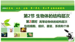 1.2.2 生物體的結(jié)構(gòu)層次 第2課時 高等動物體的結(jié)構(gòu)層次（教學(xué)課件）-2025-2026學(xué)年七年級生物上冊（北京版2024）