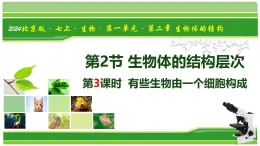 1.2.2 生物體的結(jié)構(gòu)層次 第3課時 有些生物由一個細胞構(gòu)成（教學(xué)課件）-2025-2026學(xué)年七年級生物上冊（北京版2024）