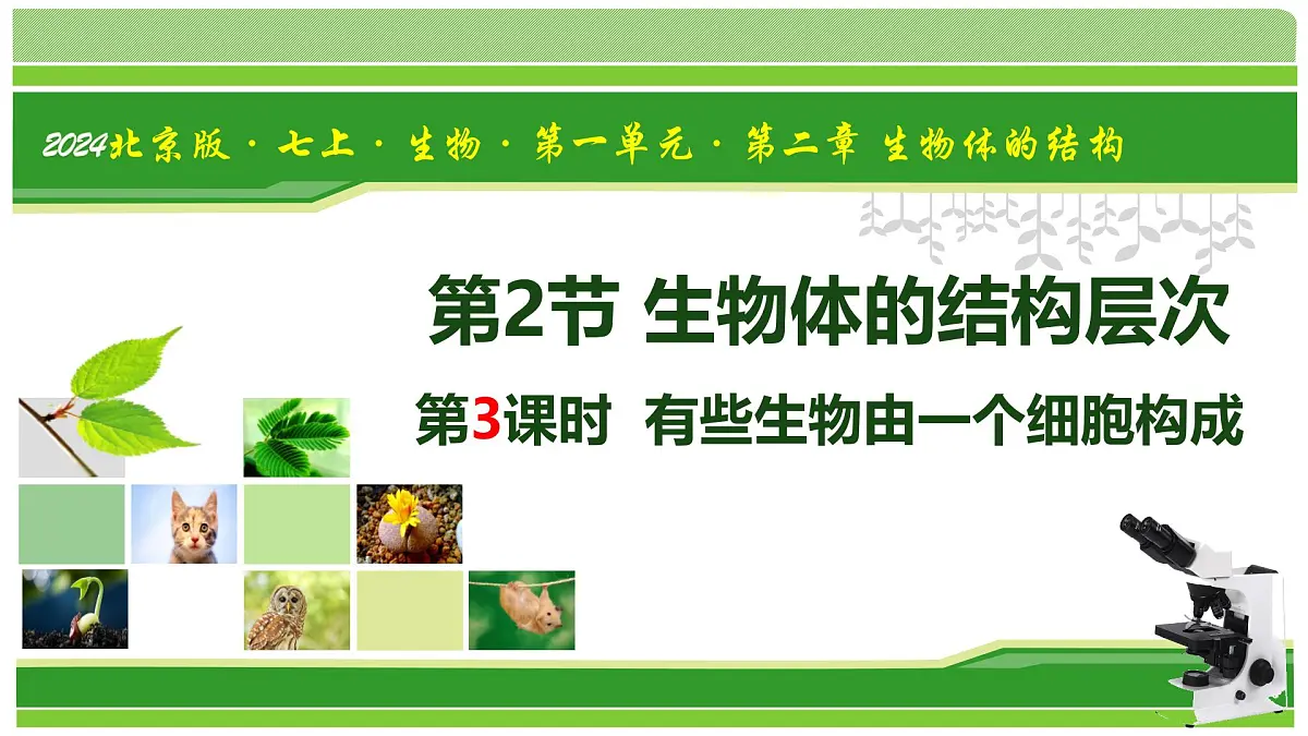 1.2.2 生物体的结构层次 第3课时 有些生物由一个细胞构成(教学课件)-2025-2026学年七年级生物上册(北京版2024)第1页
