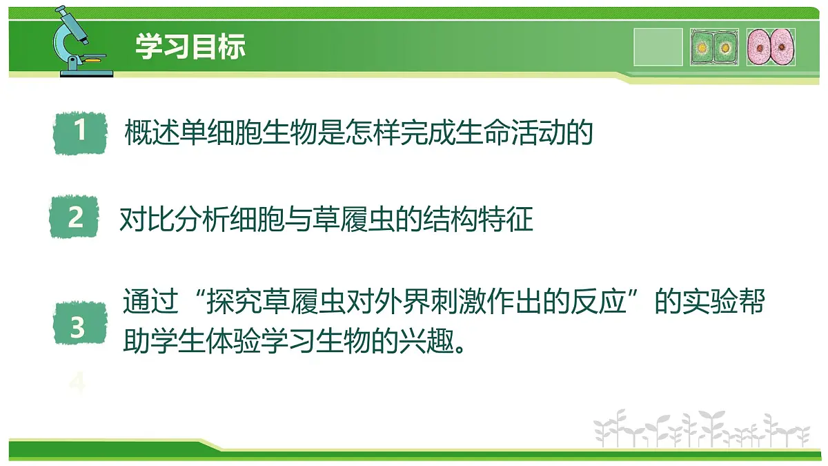 1.2.2 生物体的结构层次 第3课时 有些生物由一个细胞构成(教学课件)-2025-2026学年七年级生物上册(北京版2024)第2页