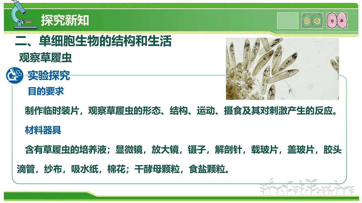 1.2.2 生物体的结构层次 第3课时 有些生物由一个细胞构成(教学课件)-2025-2026学年七年级生物上册(北京版2024)第5页