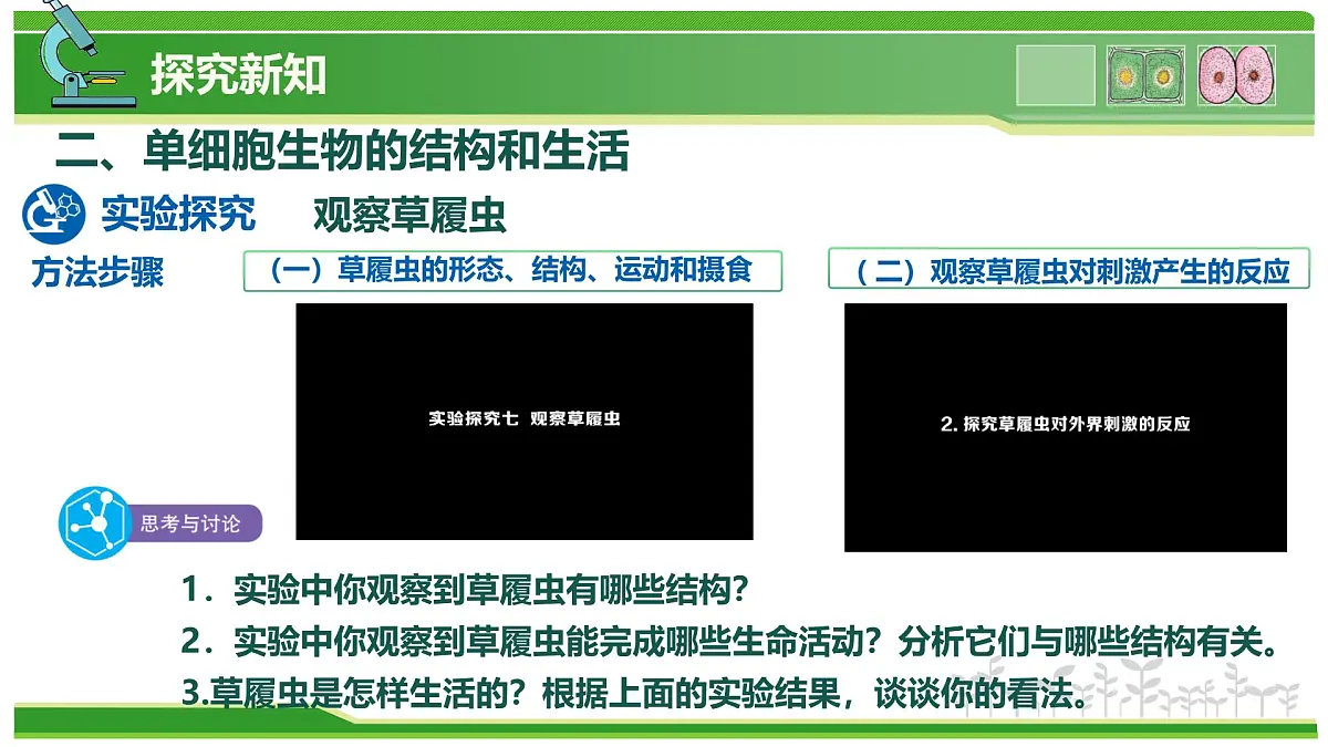 1.2.2 生物体的结构层次 第3课时 有些生物由一个细胞构成(教学课件)-2025-2026学年七年级生物上册(北京版2024)第6页
