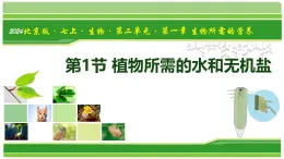 2.1.1 植物所需的水和無機鹽（教材課件）-2025-2026學(xué)年七年級生物上冊（北京版2024）