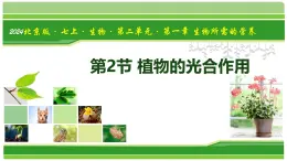 2.1.2 植物的光合作用（教學(xué)課件）-2025-2026學(xué)年七年級生物上冊（北京版2024）