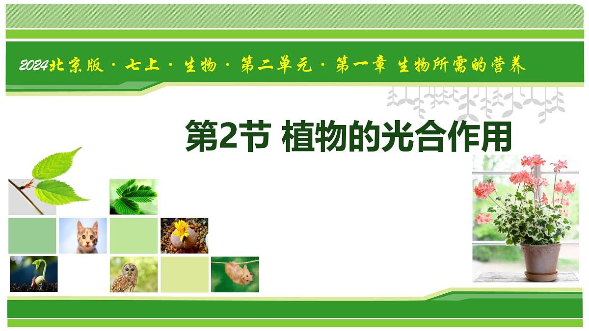 2.1.2 植物的光合作用(教学课件)-2025-2026学年七年级生物上册(北京版2024)第1页