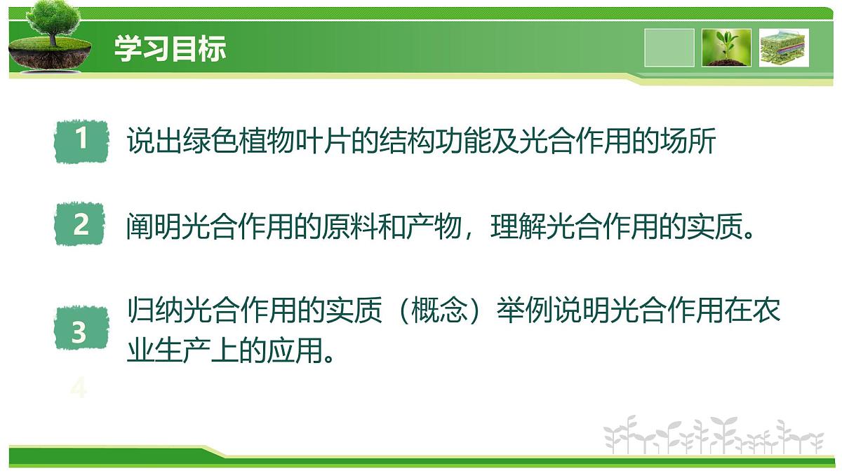 2.1.2 植物的光合作用(教学课件)-2025-2026学年七年级生物上册(北京版2024)第2页
