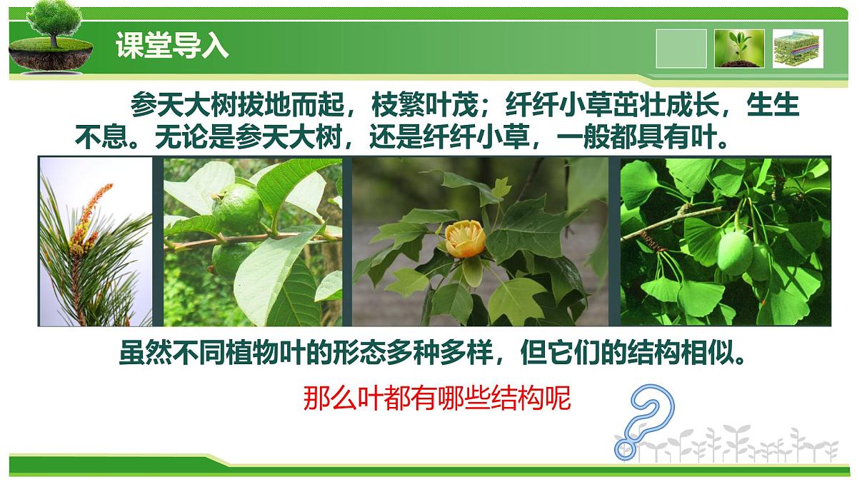 2.1.2 植物的光合作用(教学课件)-2025-2026学年七年级生物上册(北京版2024)第3页