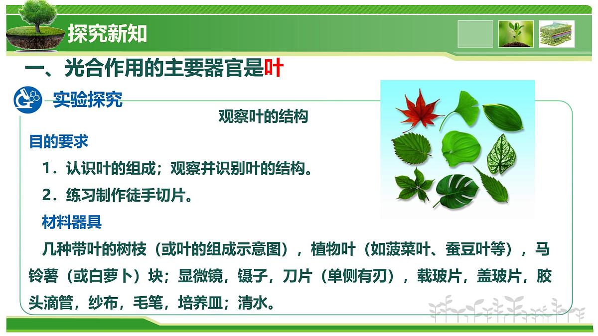 2.1.2 植物的光合作用(教学课件)-2025-2026学年七年级生物上册(北京版2024)第4页