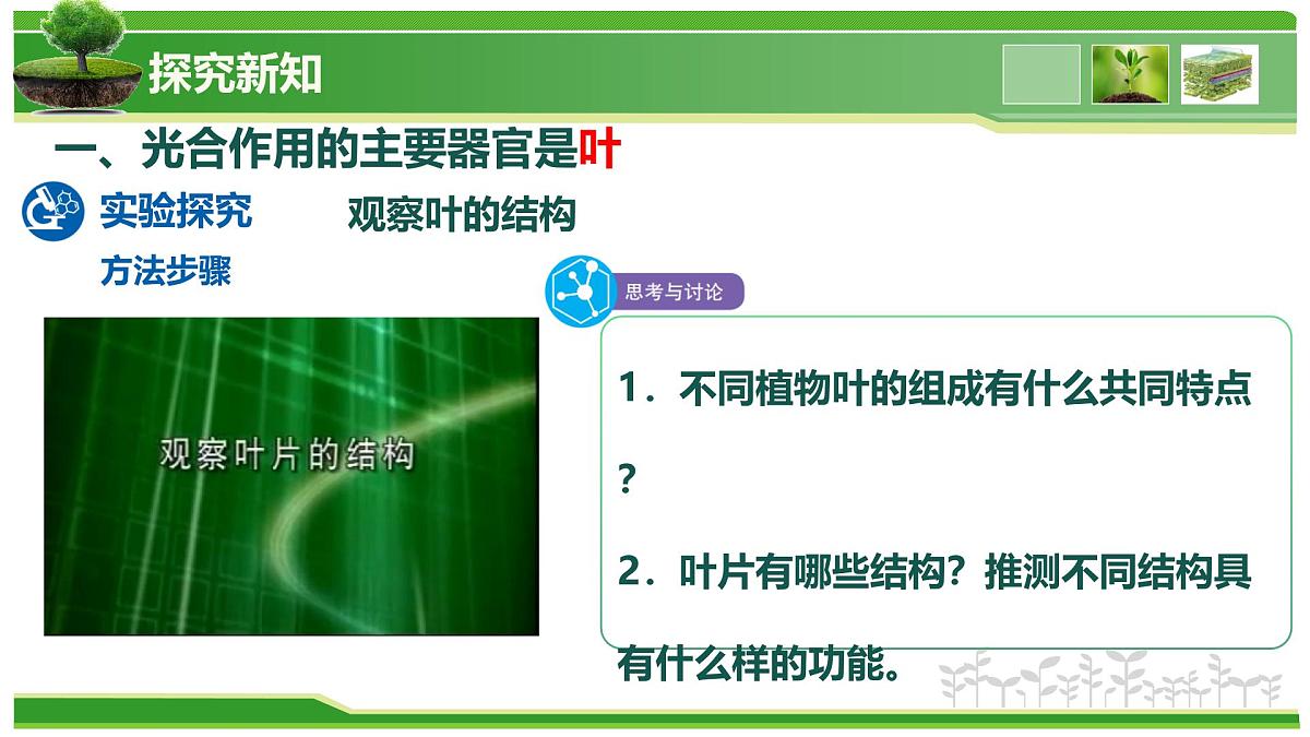 2.1.2 植物的光合作用(教学课件)-2025-2026学年七年级生物上册(北京版2024)第5页