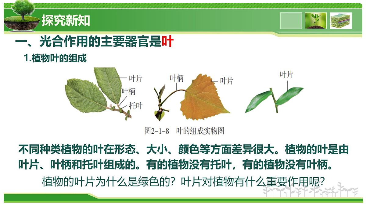 2.1.2 植物的光合作用(教学课件)-2025-2026学年七年级生物上册(北京版2024)第6页