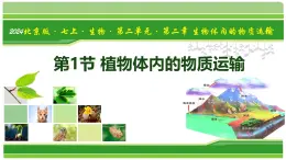 2.2.1 植物體內(nèi)的物質(zhì)運輸（教學(xué)課件）-2025-2026學(xué)年七年級生物上冊（北京版2024）