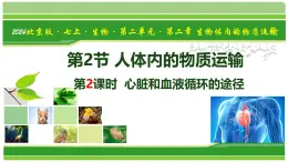 2.2.2 人體內(nèi)的物質(zhì)運輸 第2課時 心臟和血液循環(huán)的途徑（教學(xué)課件）-2025-2026學(xué)年七年級生物上冊（北京版2024）