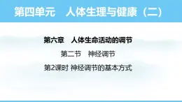 人教版（2024）八年級(jí)生物上冊(cè)課件 第四單元 第六章 第二節(jié) 第二課時(shí) 神經(jīng)調(diào)節(jié)的基本方式