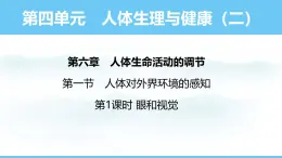 人教版（2024）八年級(jí)生物上冊(cè)課件 第四單元 第六章 第一節(jié) 第一課時(shí) 眼和視覺(jué)