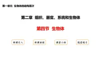 初中生物冀少版（2024）七年级上册（2024）生物体背景图课件ppt