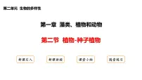 冀少版（2024）七年级上册（2024）种子植物图片ppt课件