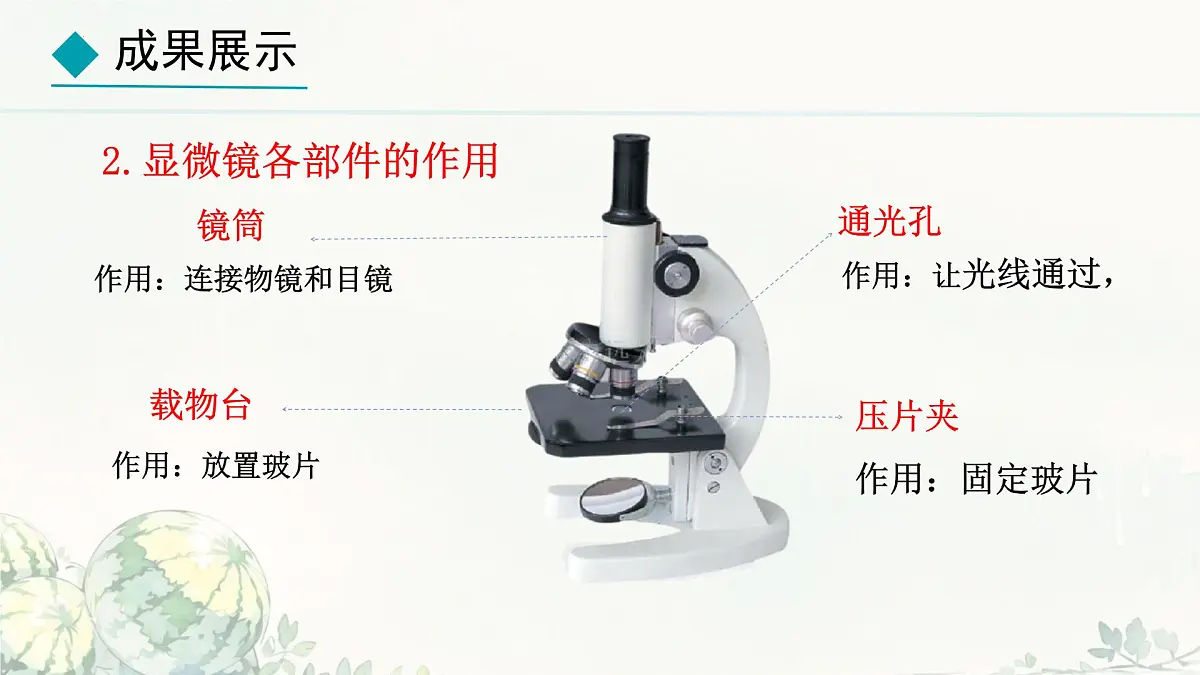 初中 生物 冀少版(2024) 七年级上册1.1.1 显微镜的使用 课件第4页