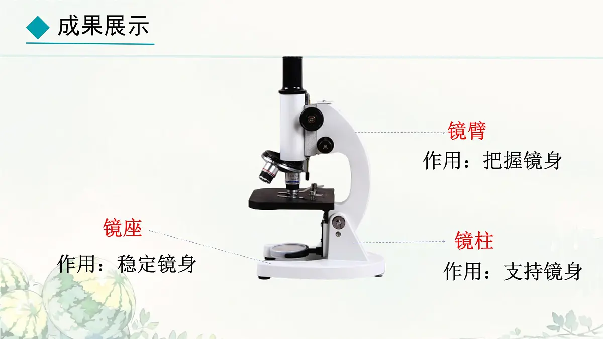 初中 生物 冀少版(2024) 七年级上册1.1.1 显微镜的使用 课件第5页