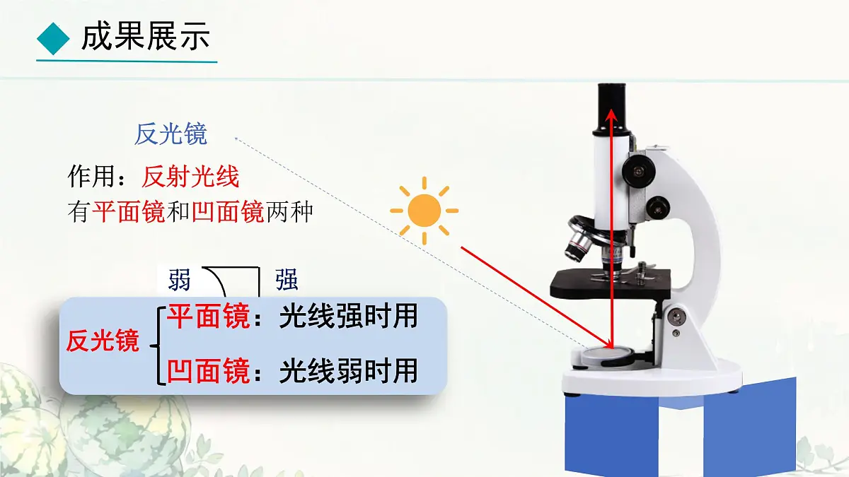 初中 生物 冀少版(2024) 七年级上册1.1.1 显微镜的使用 课件第6页