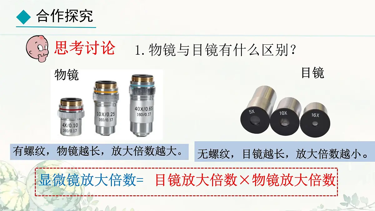 初中 生物 冀少版(2024) 七年级上册1.1.1 显微镜的使用 课件第8页