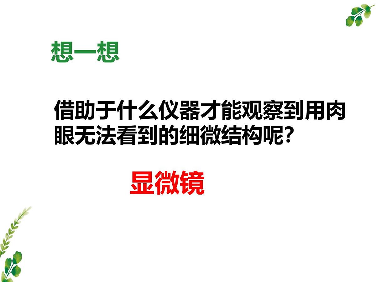 初中 生物 冀少版(2024) 七年级上册1.1.1 显微镜的使用 课件第3页