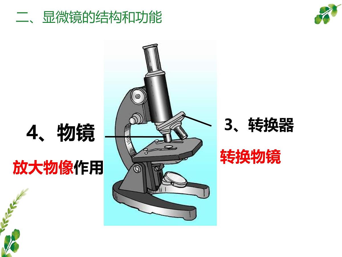 初中 生物 冀少版(2024) 七年级上册1.1.1 显微镜的使用 课件第6页