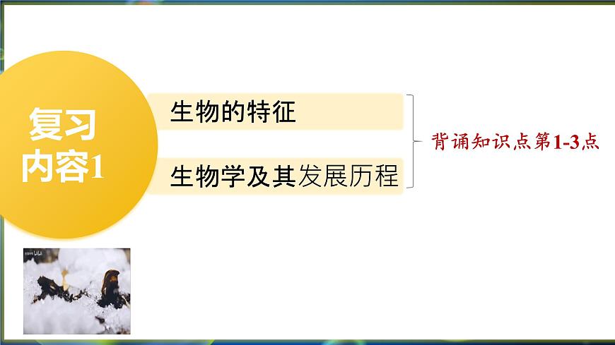 復(fù)習(xí)1：生物及生物體的結(jié)構(gòu)層次 課件第2頁(yè)