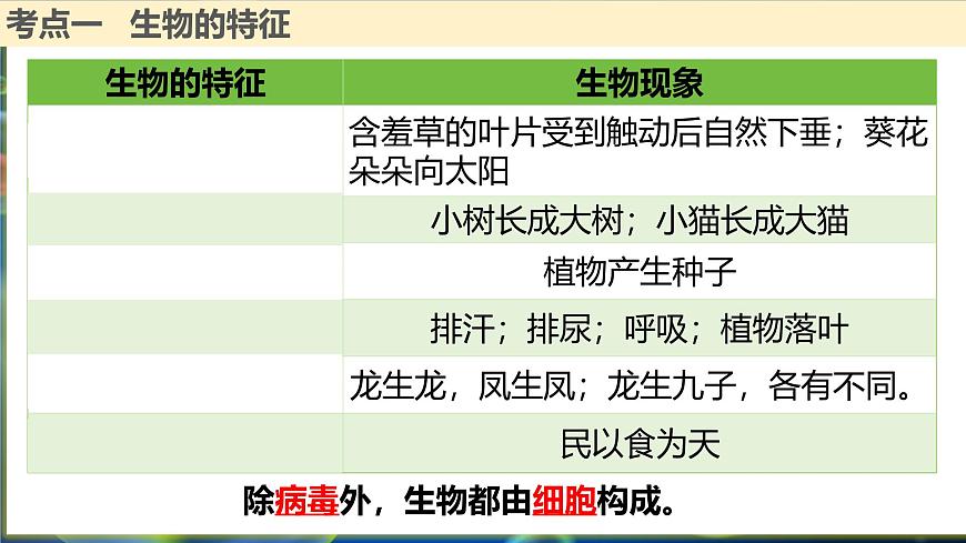 復(fù)習(xí)1：生物及生物體的結(jié)構(gòu)層次 課件第4頁(yè)