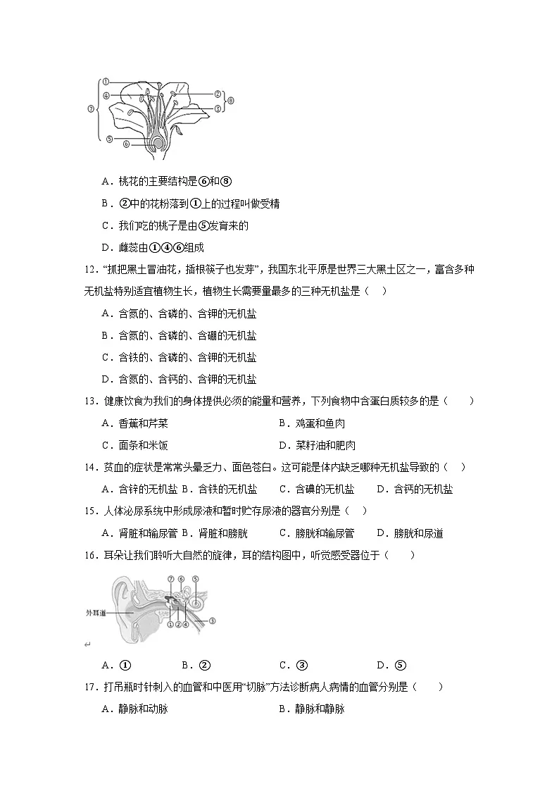 2025年黑龙江省哈尔滨市平房区八年级调研测试二模生物试题(附答案解析)第3页