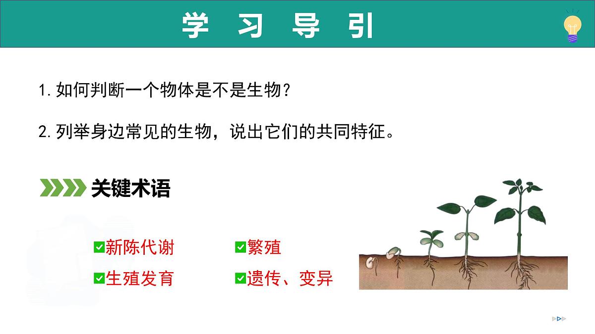1.1.1 生物具有基本的生命特征(教学课件)-2025-2026学年七年级生物上册(济南版2024)第3页