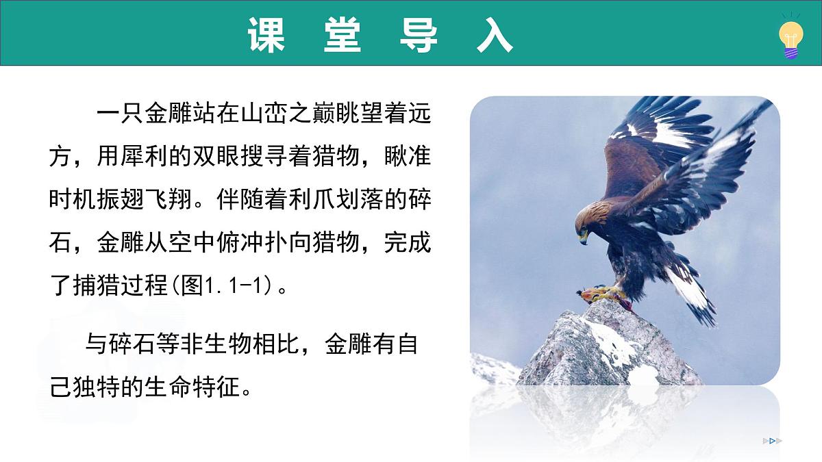 1.1.1 生物具有基本的生命特征(教学课件)-2025-2026学年七年级生物上册(济南版2024)第4页