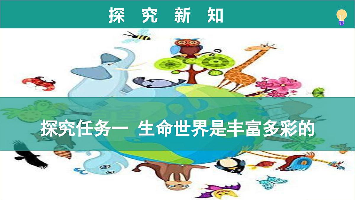 1.1.1 生物具有基本的生命特征(教学课件)-2025-2026学年七年级生物上册(济南版2024)第5页