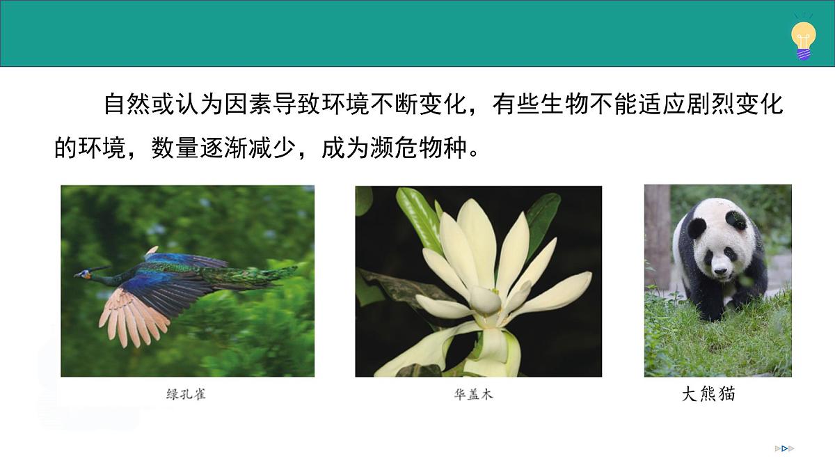 1.1.1 生物具有基本的生命特征(教学课件)-2025-2026学年七年级生物上册(济南版2024)第8页