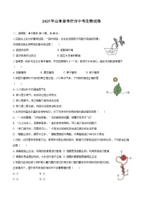2025年山东省枣庄市中考生物试卷(含答案)
