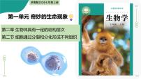 生物七年级上册（2024）细胞通过分裂和分化形成不同组织教学ppt课件