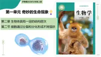 生物七年级上册（2024）细胞通过分裂和分化形成不同组织教学ppt课件