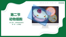 2.1.2 動物細胞（課件）-2025-2026學年六年級生物上冊（魯科版五四學制2024）