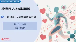 14.1 血液 第2課時(shí)（教學(xué)課件）-2025-2026學(xué)年八年級(jí)生物上冊(cè)（蘇科版2024）