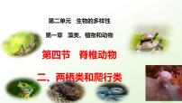 初中生物冀少版（2024）七年级上册（2024）两栖类和爬行类教案配套ppt课件