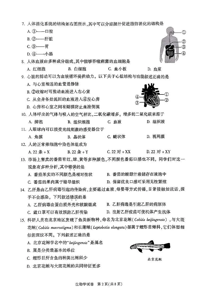 2025北京朝阳初中学业水平考试生物试卷(教师版)第2页