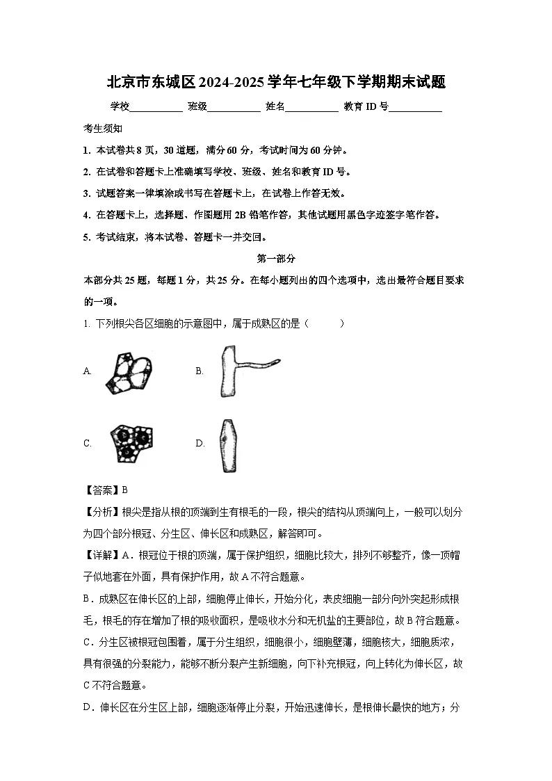 北京市东城区2024-2025学年七年级下学期期末生物试卷(解析版)第1页