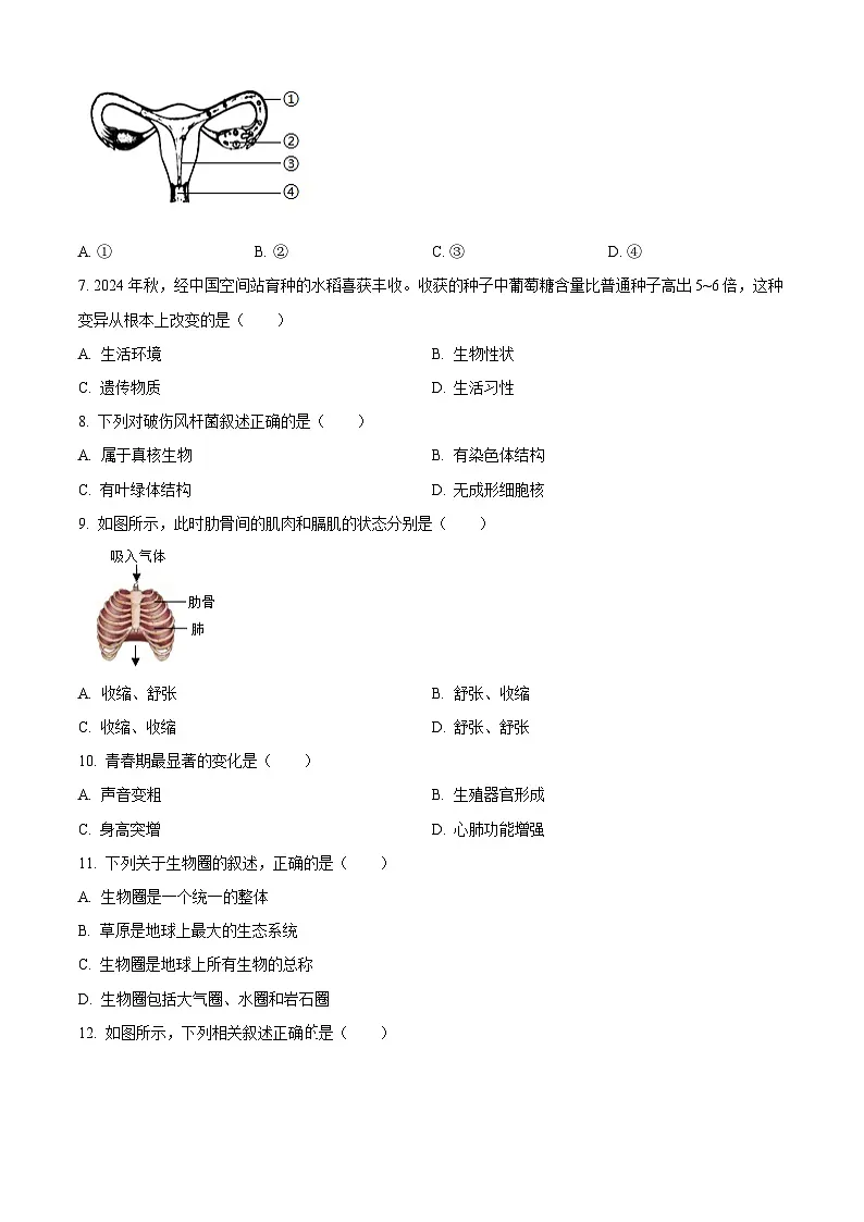 2025年吉林省初中学业水平考试中考(会考)生物试卷(真题+答案)第2页