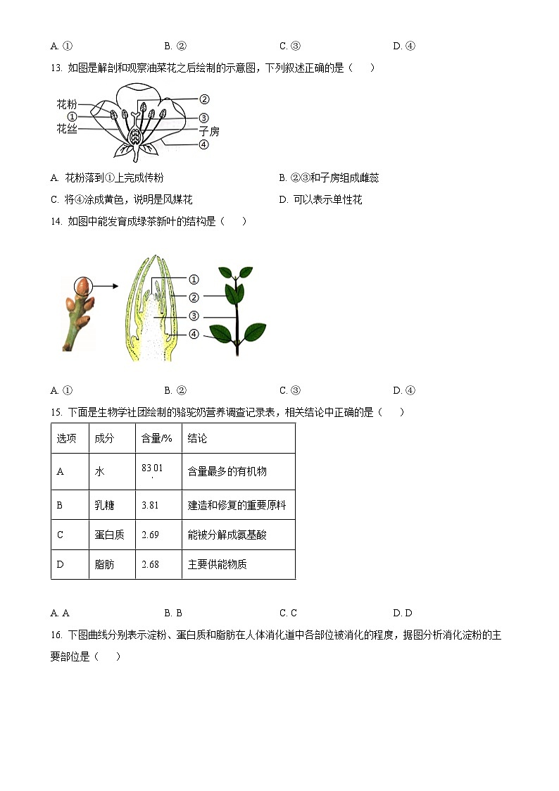 2025年新疆生产建设兵团初中学业水平考试中考(会考)生物试卷(真题+答案)第3页