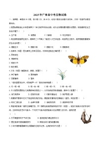 2025年广东省中考生物试卷（含解析）