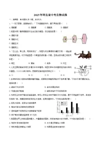2025年河北省中考生物试卷(含解析)