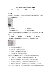 2025年山东省枣庄市中考生物真题（无答案）