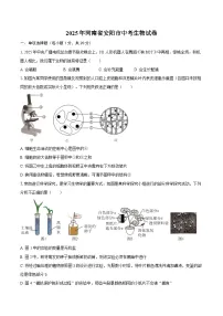 2025年河南省安阳市中考生物试卷（含解析）