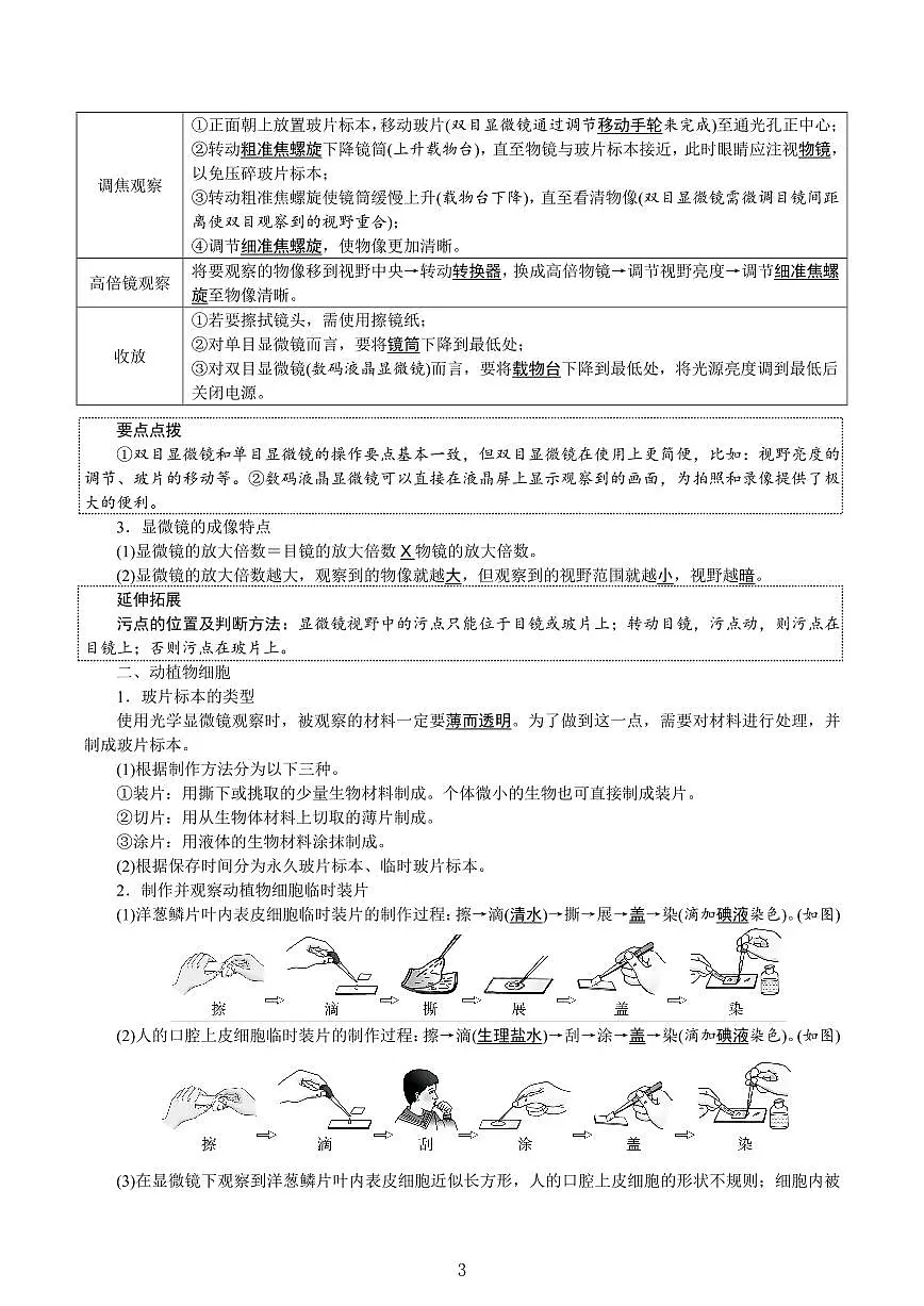2024版新教材人教版七年级上册生物期末单元知识点速记第3页